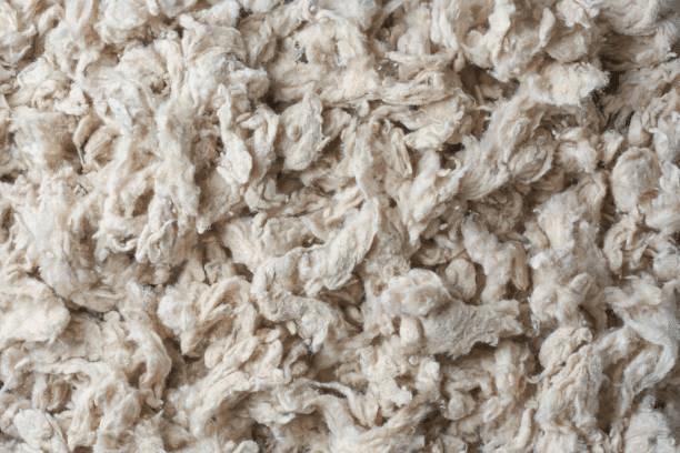 Close-up of raw cotton fiber used in textile production